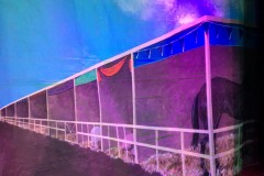 IMG_9090